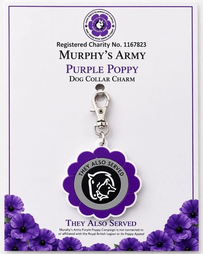 Murphy army purple - murphy’s,
